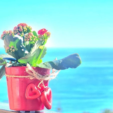 בנאלמדנה Aa Guest - The Golden Sea Views Eco Apartment מראה חיצוני תמונה